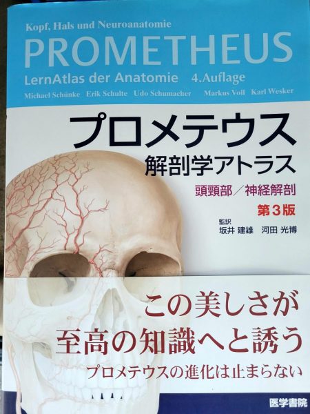 プロメテウス解剖学アトラス第3版