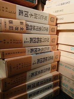 福岡県太宰府市にて陶磁、植物・生物図鑑、日本刀鑑定本などの買取させて頂きました。