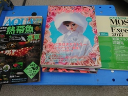 大野城市のお客様から、人形/ドール服・Excel対策テキスト・熱帯魚に関する本を買取