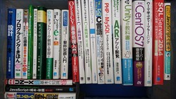 福岡市東区と糸島市にて、Web関連の専門書・成人漫画・活字本などを出張買取