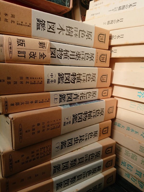 福岡県太宰府市にて陶磁、植物・生物図鑑、日本刀鑑定本などの買取させて頂きました。サムネイル